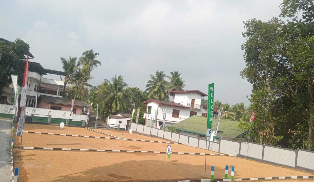 promise axis new (1)