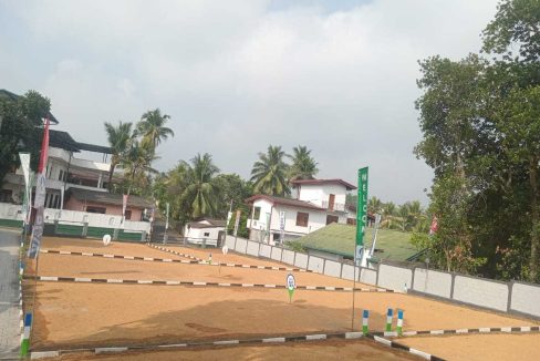 promise axis new (1)