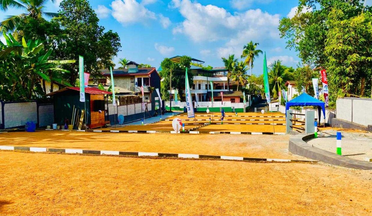 promise axis new (10)