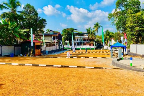 promise axis new (10)