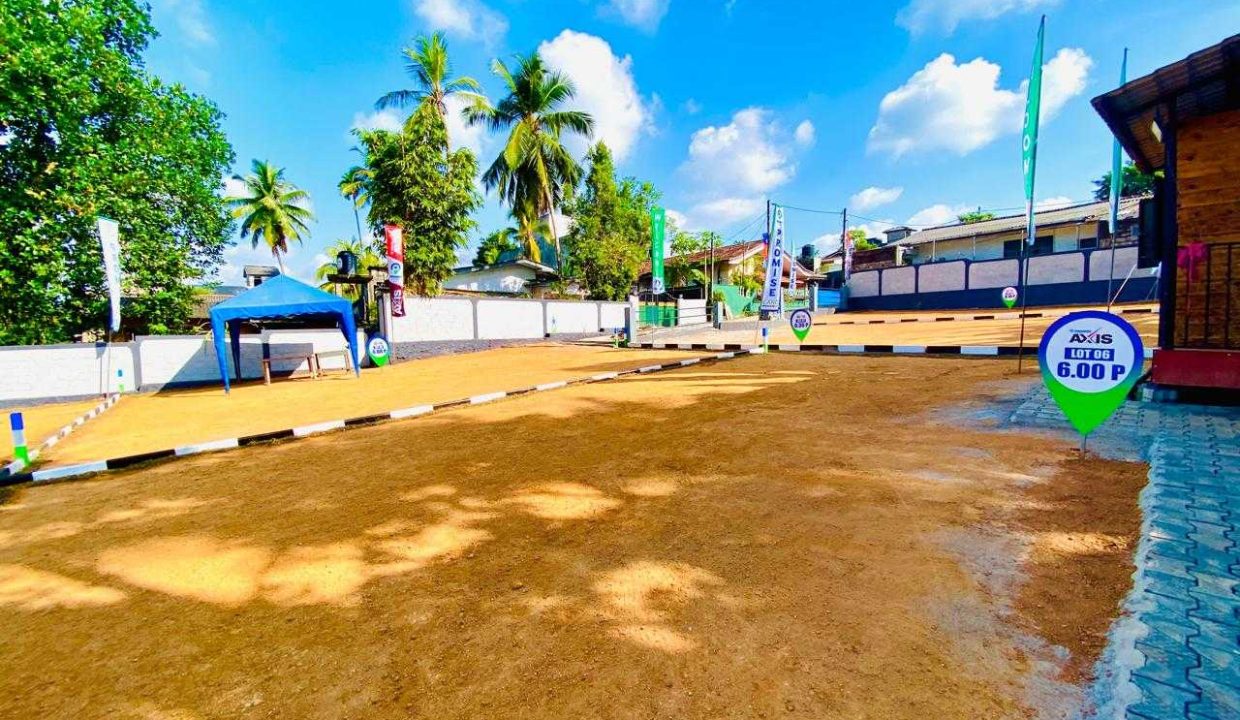 promise axis new (12)