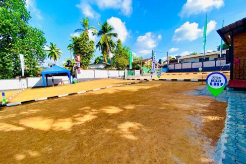 promise axis new (12)