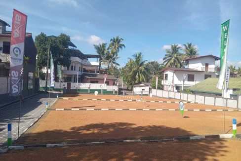 promise axis new (13)