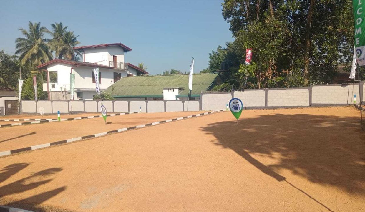 promise axis new (2)