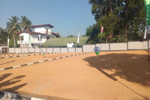 promise axis new (2)