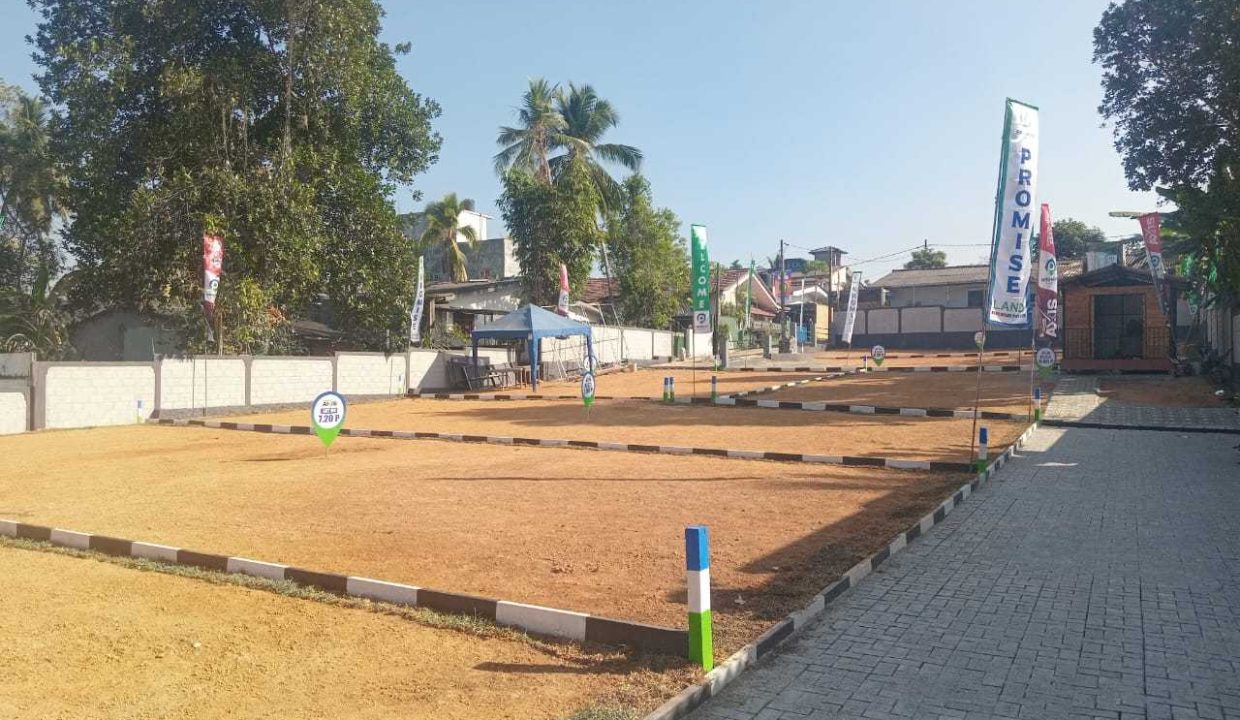 promise axis new (3)