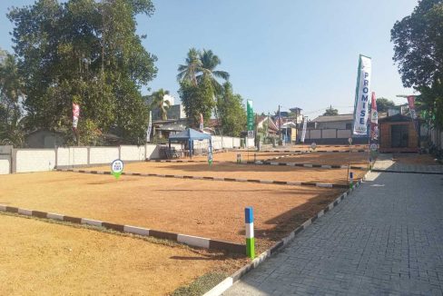 promise axis new (3)