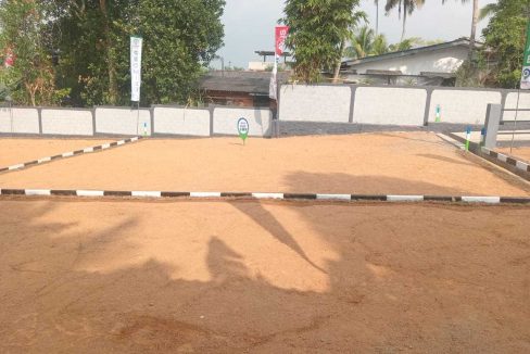 promise axis new (4)