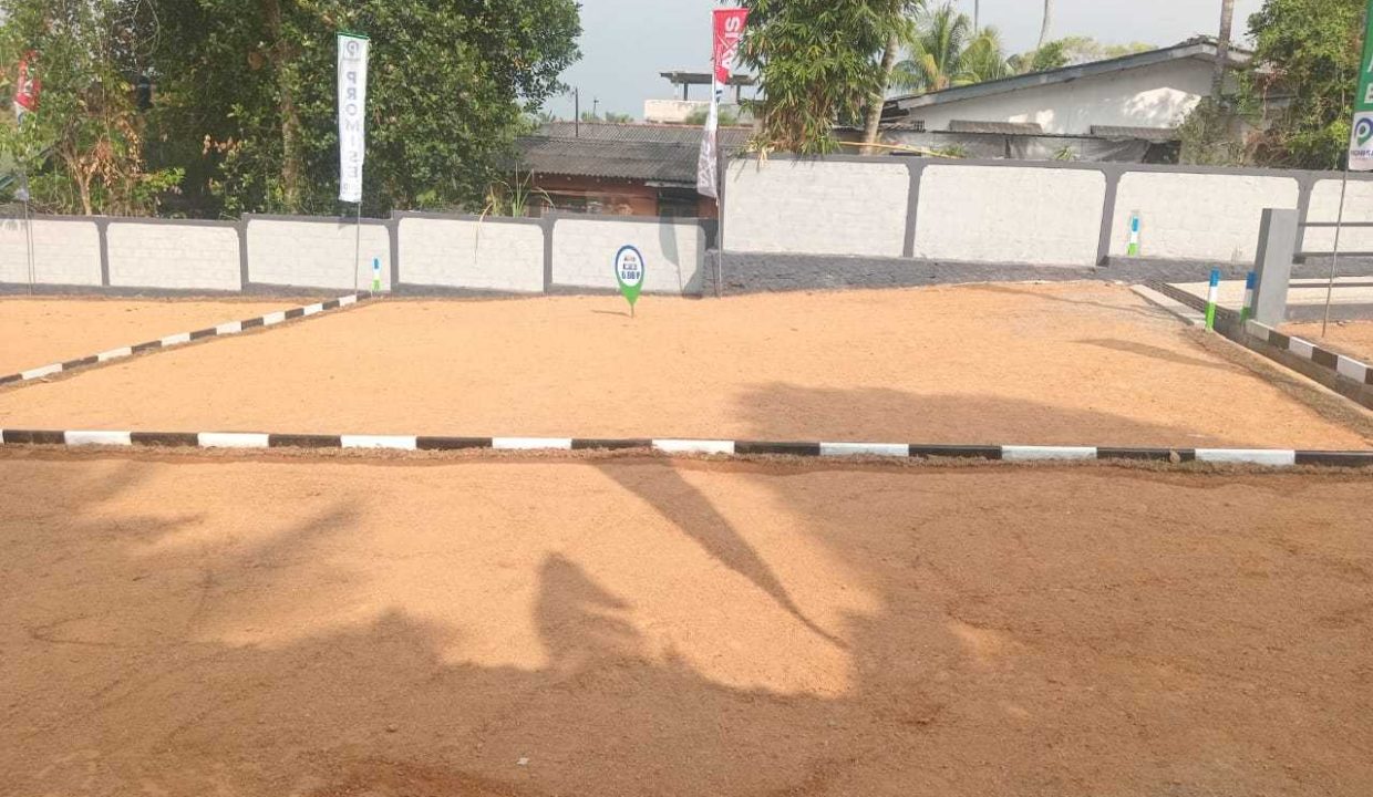 promise axis new (5)