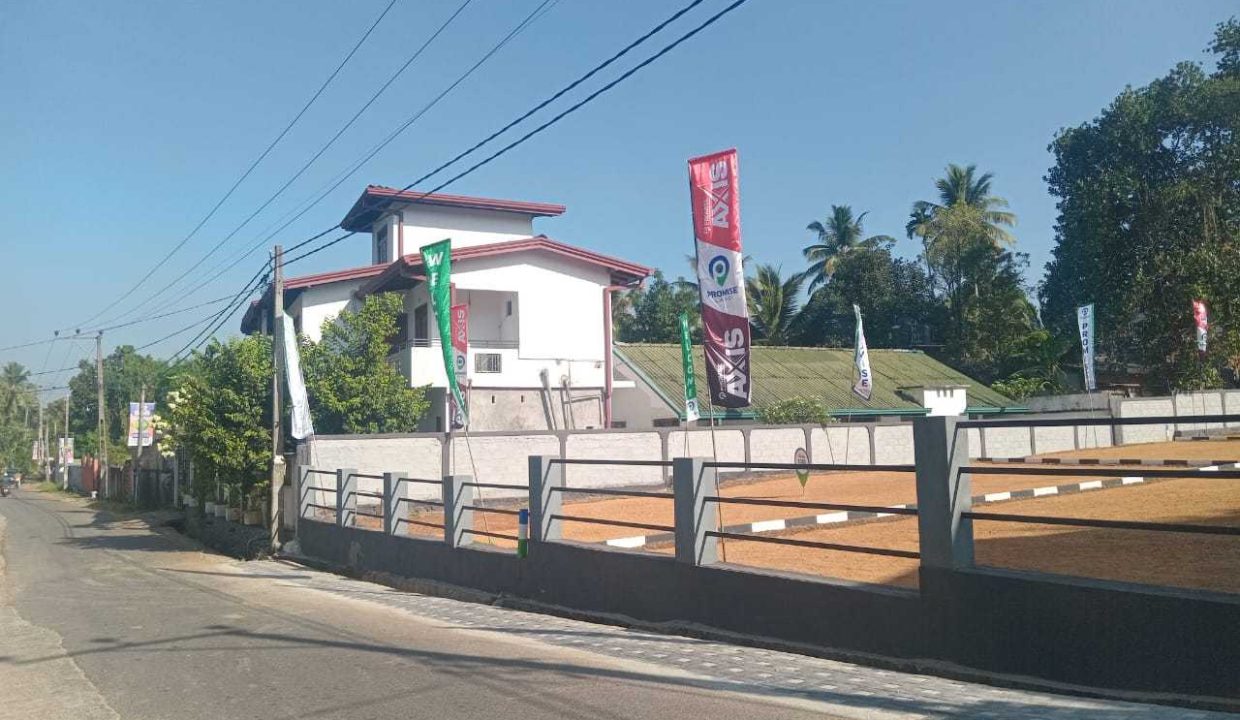 promise axis new (6)