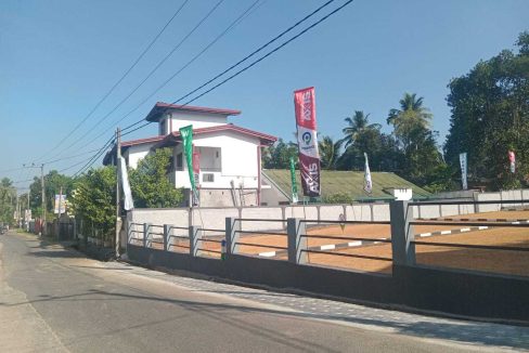 promise axis new (6)