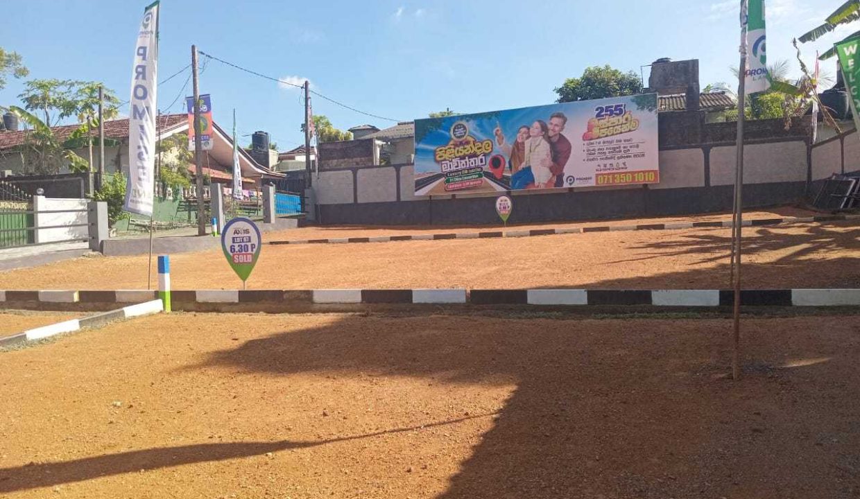 promise axis new (7)