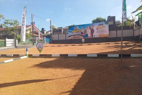 promise axis new (7)