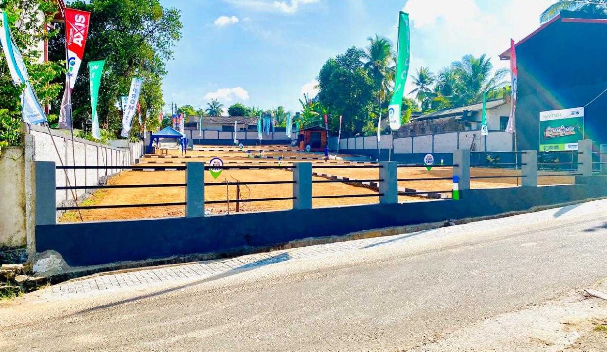 promise axis new (8)