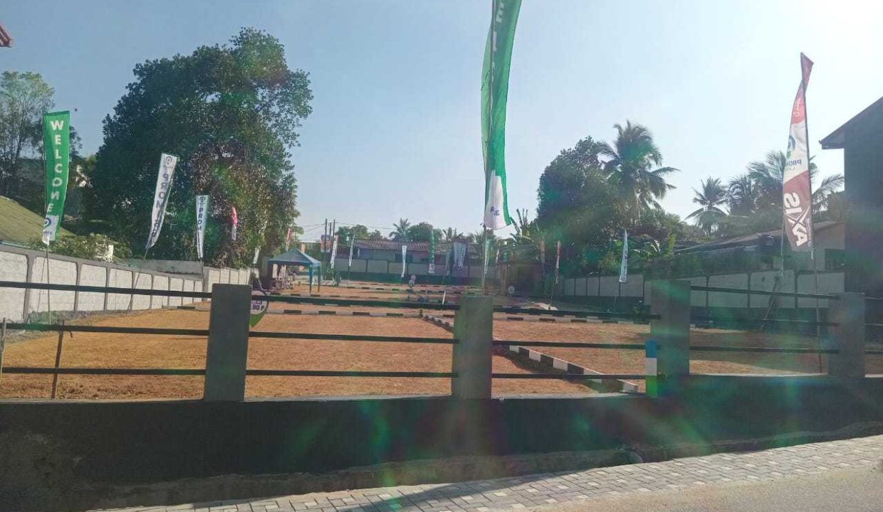 promise axis new (9)