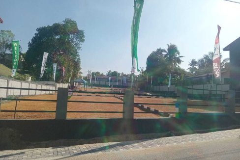 promise axis new (9)