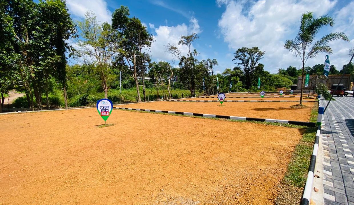 promise eden gallery (10)