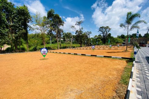 promise eden gallery (10)