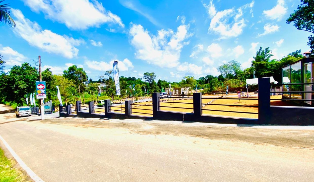 promise eden gallery (12)