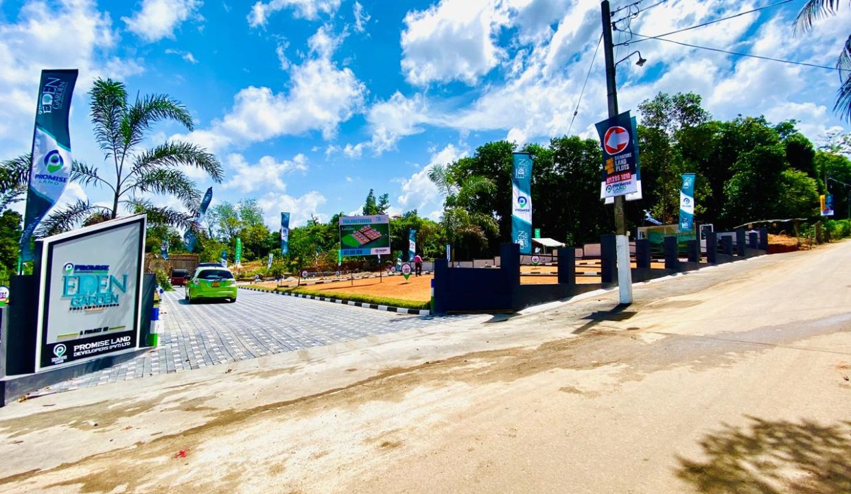 promise eden gallery (13)