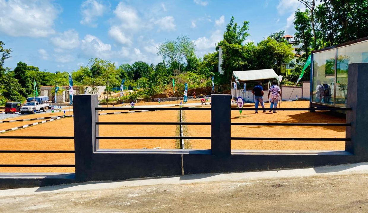 promise eden gallery (15)