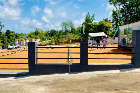 promise eden gallery (15)