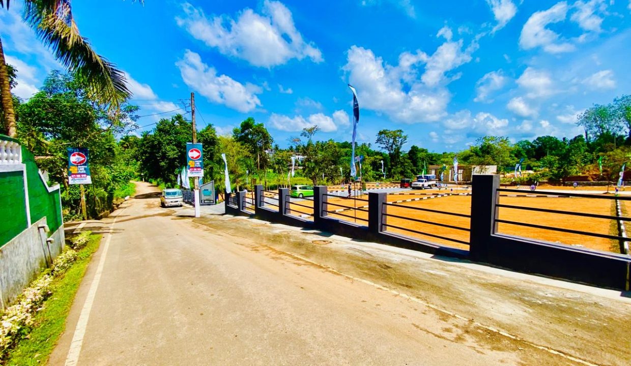 promise eden gallery (17)