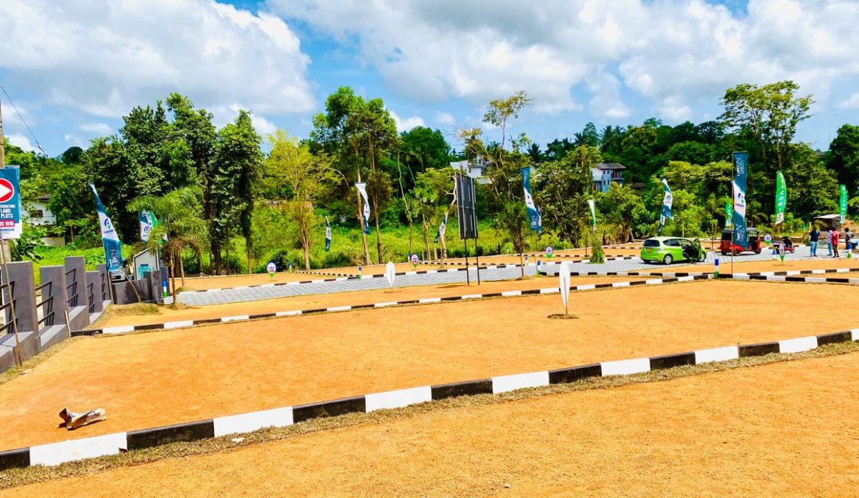 promise eden gallery (2)