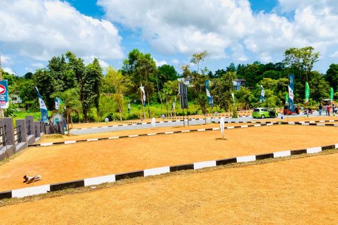 promise eden gallery (2)