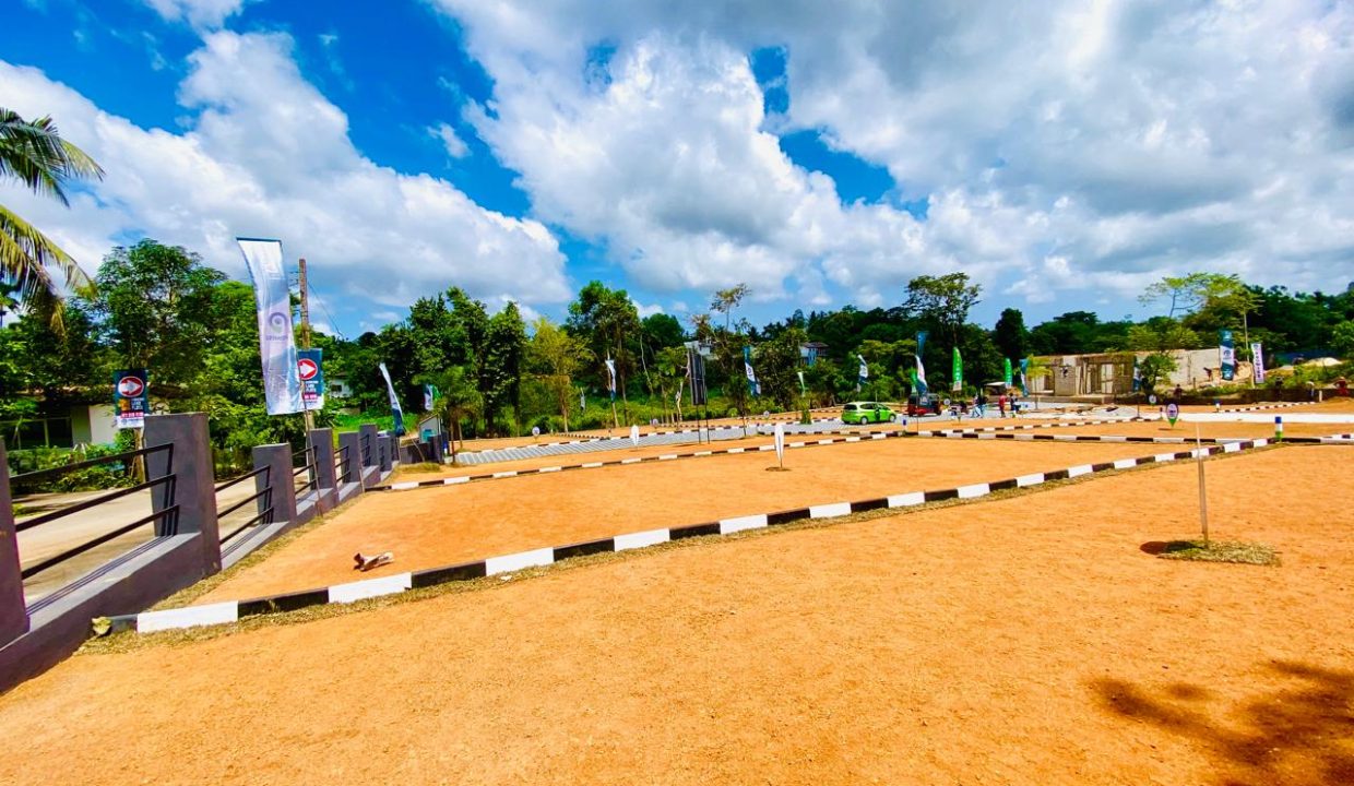 promise eden gallery (4)