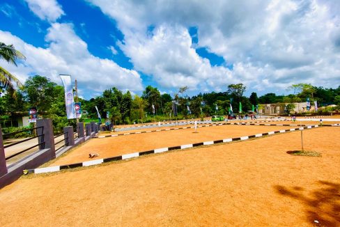 promise eden gallery (4)