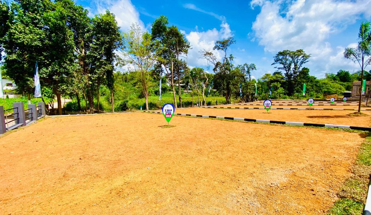 promise eden gallery (5)