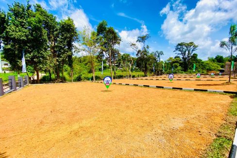 promise eden gallery (5)