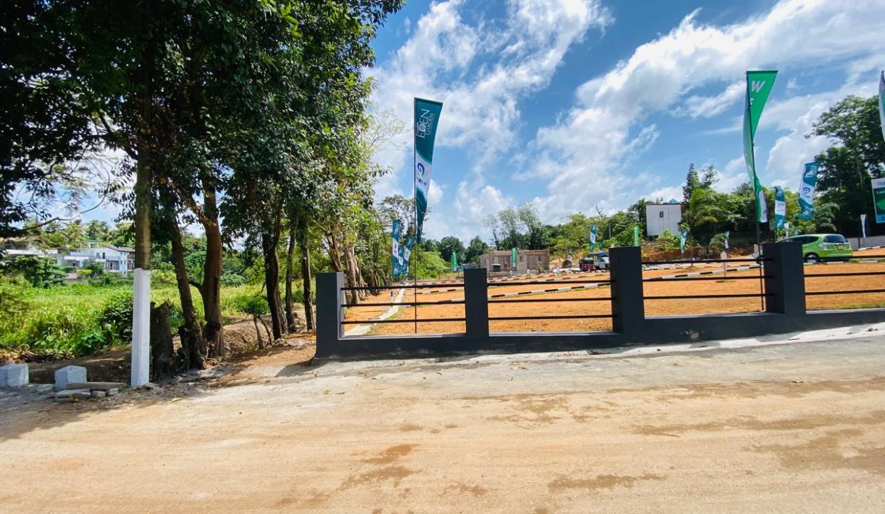 promise eden gallery (6)