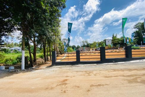 promise eden gallery (6)