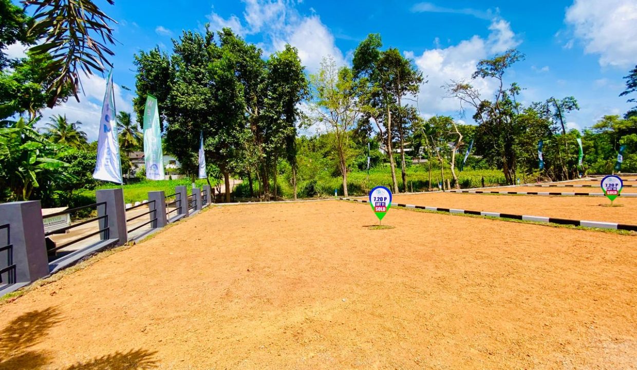 promise eden gallery (7)