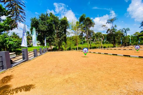 promise eden gallery (7)