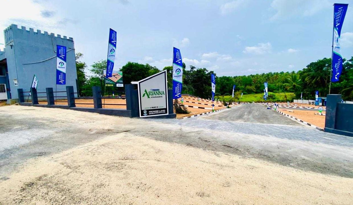 promise ariana athurugiriya (2)