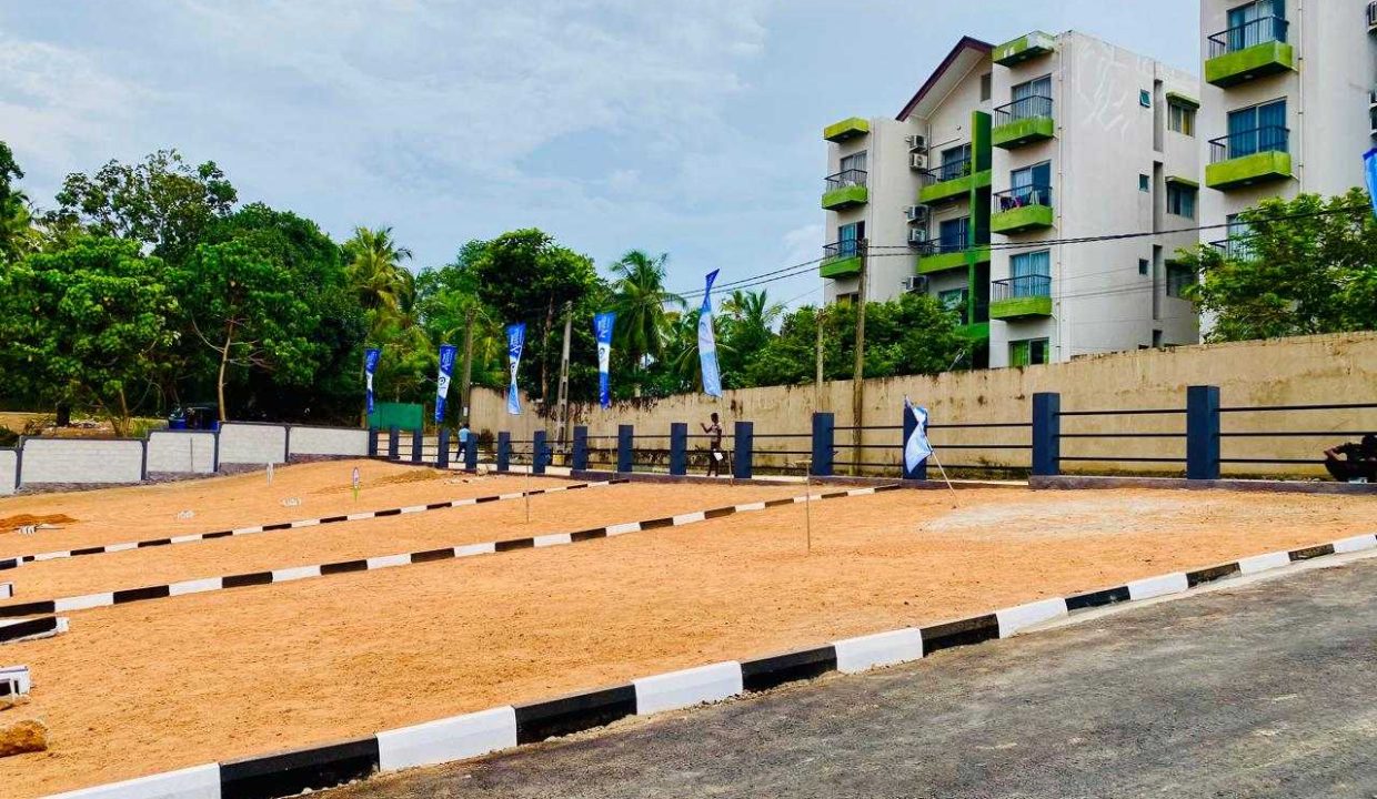 promise ariana athurugiriya (3)