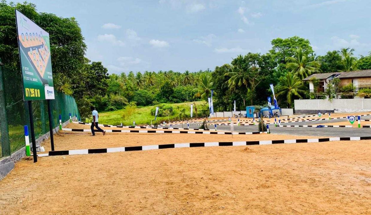 promise ariana athurugiriya (4)