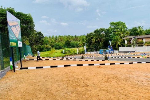 promise ariana athurugiriya (4)