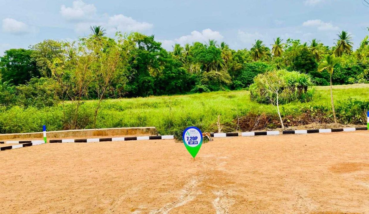 promise ariana athurugiriya (5)