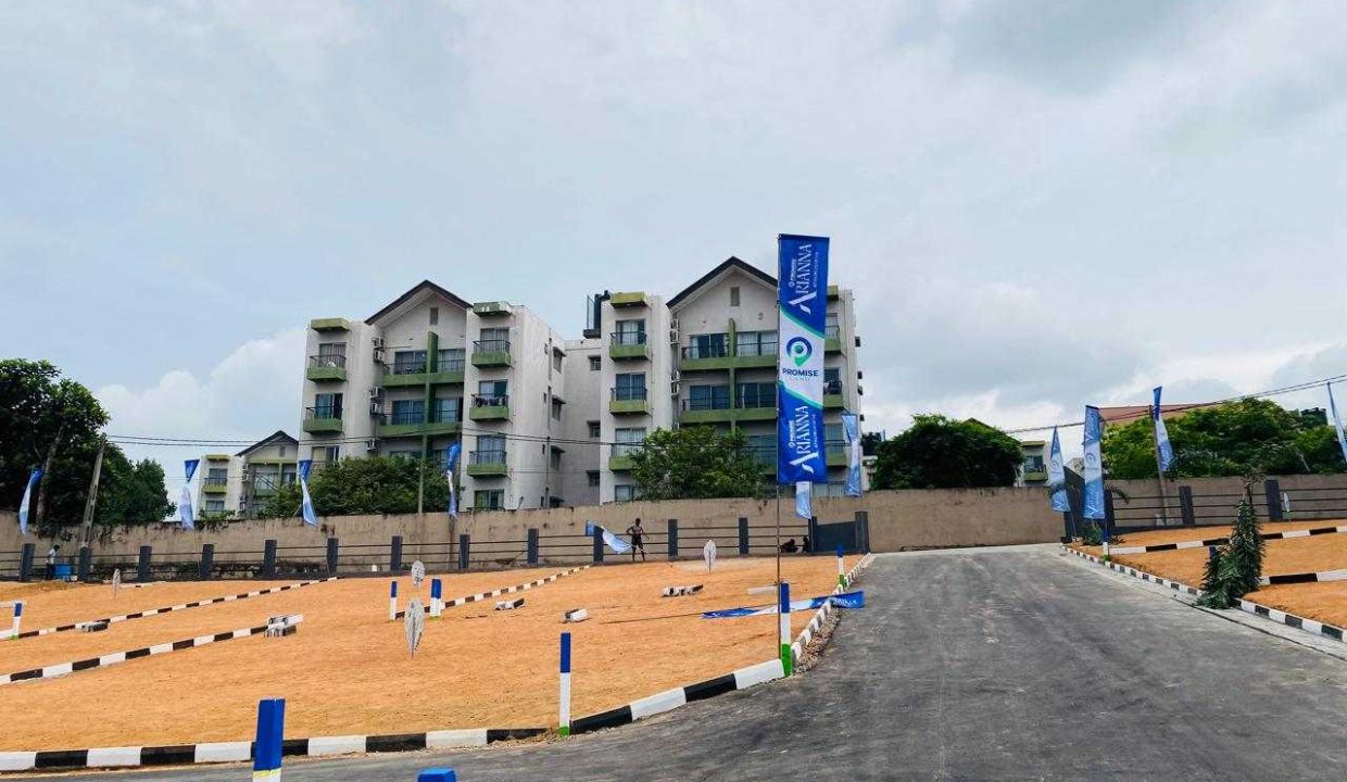 promise ariana athurugiriya (6)