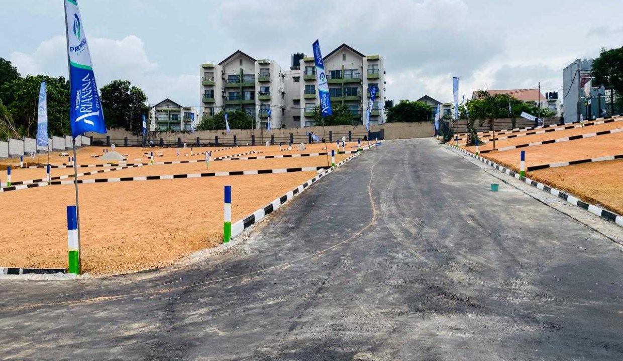 promise ariana athurugiriya (7)