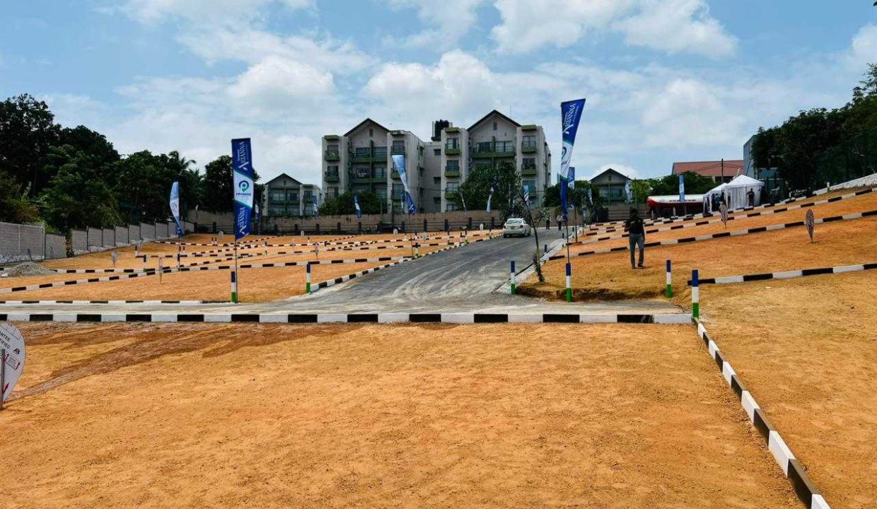 promise ariana athurugiriya (8)